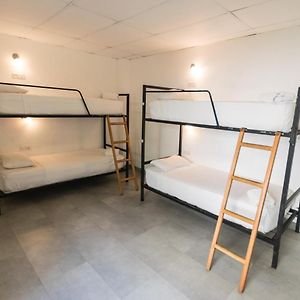 Chambre Juste Pour Femmes Dortoir